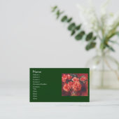 Moss-Rozen van Renoir Visitekaartje (Staand voorkant)
