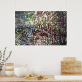 Moss Sporophyts Poster (Keuken)