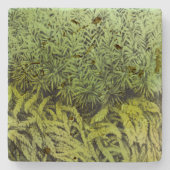 Moss tekening met groen bekledingsonderzetter stenen onderzetter (Voorkant)