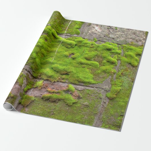 Moss wall green rock texture cadeaupapier (Uitgerold)
