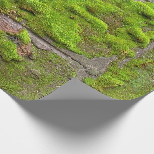 Moss wall green rock texture cadeaupapier (Hoek)