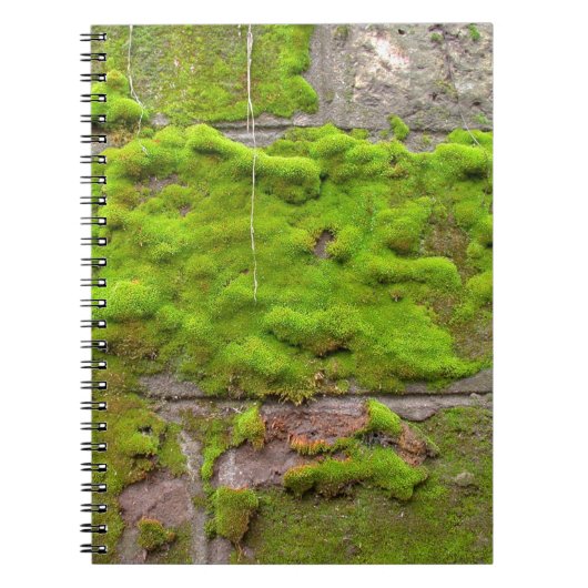 Moss wall green rock texture notitieboek (Voorkant)
