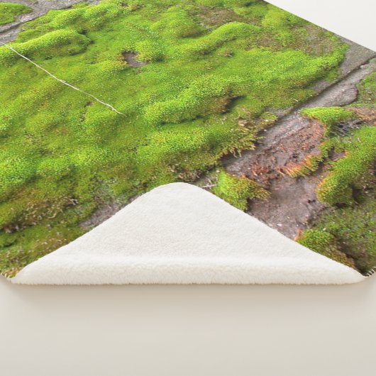 Moss wall green rock texture sherpa deken (3/4)