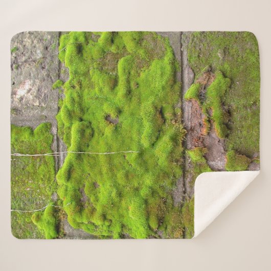 Moss wall green rock texture sherpa deken (Voorkant (horizontaal))