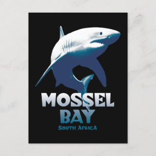 Mossel Bay Grote Witte Haai Duiken Briefkaart