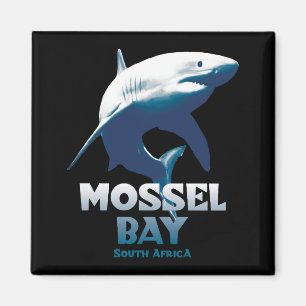 Mossel Bay Grote Witte Haai Duiken Magneet