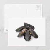 mossel briefkaart (Voorkant / Achterkant)