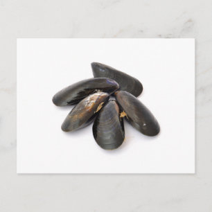 mossel briefkaart