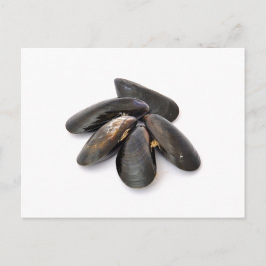mossel briefkaart (Voorkant)