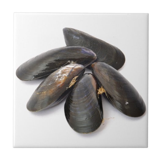 mossel tegeltje (Voorkant)