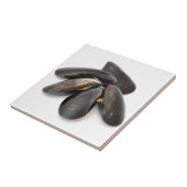 mossel tegeltje (Zijkant)