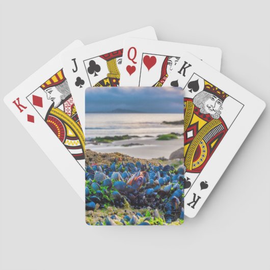 Mosselen Pokerkaarten (Achterkant)
