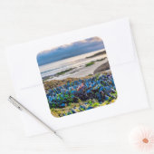 Mosselen Vierkante Sticker (Envelop)