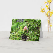 Mossen en lichens met kleine paddenstoelen kaart (Gele Bloem)