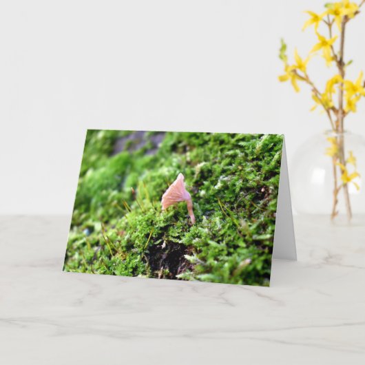 Mossen en lichens met kleine paddenstoelen kaart (Gele Bloem)