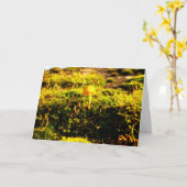 Mossen en lichens met kleine paddenstoelen kaart (Gele Bloem)