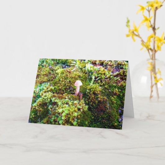 Mossen en lichens met kleine paddenstoelen kaart (Gele Bloem)