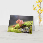 Mossen en lichens met kleine paddenstoelen kaart (Gele Bloem)