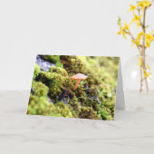 Mossen en lichens met kleine paddenstoelen kaart (Gele Bloem)