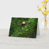 Mossen en lichens met kleine paddenstoelen kaart (Gele Bloem)