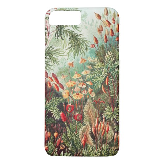 Mossen, Muscinae Laubmoose door Ernst Haeckel Case-Mate iPhone Case (Achterkant)