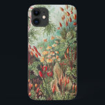 Mossen, Muscinae Laubmoose door Ernst Haeckel Case-Mate iPhone Case<br><div class="desc">Muscinae Laubmoose door Ernst Haeckel Vintage Planten Hoes</div>