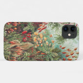 Mossen, Muscinae Laubmoose door Ernst Haeckel Case-Mate iPhone Case (Achterkant (horizontaal))
