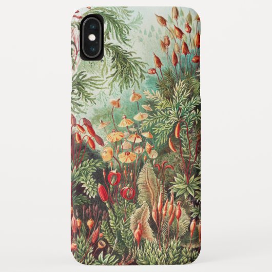 Mossen, Muscinae Laubmoose door Ernst Haeckel Case-Mate iPhone Case (Achterkant)