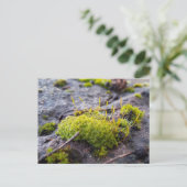 Mosses, Briefkaart van de Lente (Staand voorkant)