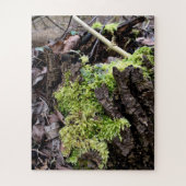 Mosses Legpuzzel (Verticaal)