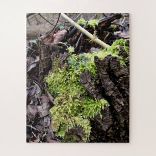 Mosses Legpuzzel