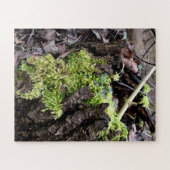 Mosses Legpuzzel (Horizontaal)