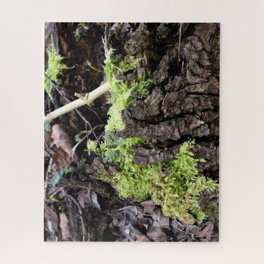 Mosses Legpuzzel (Verticaal)