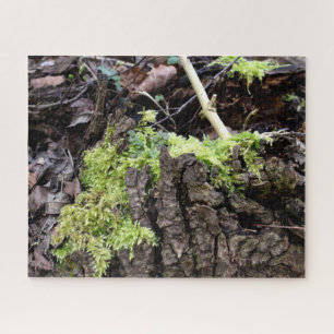 Mosses Legpuzzel