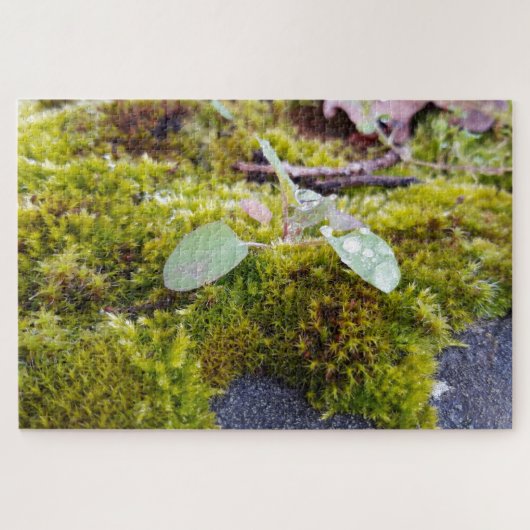 Mosses Legpuzzel (Horizontaal)