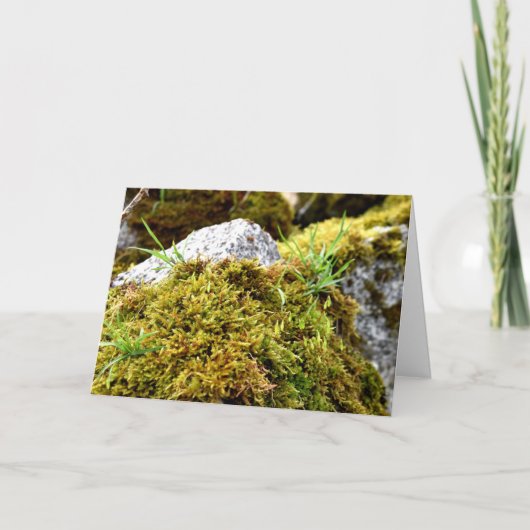 Mosses, Lentesontzoening Kaart (Voorkant)