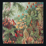 Mosses, Muscinae Laubmoose door Ernst Haeckel Bandana<br><div class="desc">Muscinae Laubmose van Ernst Haeckel  Planten Bandana " illustratie fijne kunsttekening",  "Ernst Haeckel",  "florale flora bloemen bladeren planten",  "tropische regenwouden oerwoud moss",  "botanische natuur botanische vlinders",  "science science artwork filicinae",  "biologist plant leaf fleur garden "Art Forms in Natuur",  "artistic Victoriaans exotic Colorful green",  "Kunstformen der Natur"</div>