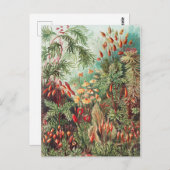 Mosses, Muscinae Laubmoose door Ernst Haeckel Briefkaart (Voorkant / Achterkant)