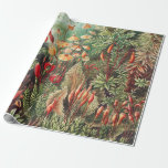 Mosses, Muscinae Laubmoose door Ernst Haeckel Cadeaupapier<br><div class="desc">Muscinae Laubmoose van Ernst Haeckel  Planten Verpakkingspapier</div>
