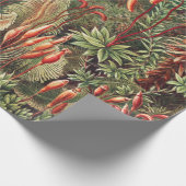 Mosses, Muscinae Laubmoose door Ernst Haeckel Cadeaupapier (Hoek)