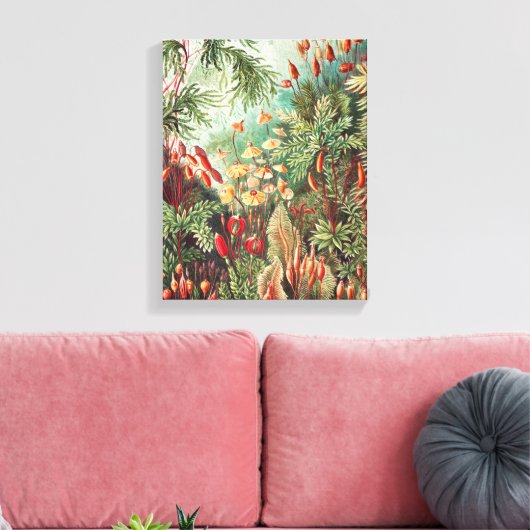 Mosses, Muscinae Laubmoose door Ernst Haeckel Canvas Afdruk (Insitu (Woonkamer))
