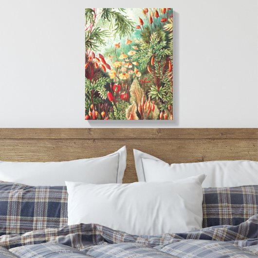 Mosses, Muscinae Laubmoose door Ernst Haeckel Canvas Afdruk (Insitu (Slaapkamer))