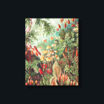 Mosses, Muscinae Laubmoose door Ernst Haeckel Canvas Afdruk<br><div class="desc">Mosses, Muscinae Laubmoose van Ernst Haeckel Canvas Print</div>