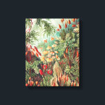 Mosses, Muscinae Laubmoose door Ernst Haeckel Canvas Afdruk<br><div class="desc">Mosses,  Muscinae Laubmoose van Ernst Haeckel Canvas Print</div>