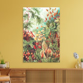 Mosses, Muscinae Laubmoose door Ernst Haeckel Canvas Afdruk (Insitu (Woonkamer))