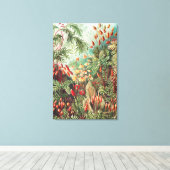 Mosses, Muscinae Laubmoose door Ernst Haeckel Canvas Afdruk (Insitu (Houten vloer))
