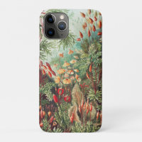 Mosses, Muscinae Laubmoose door Ernst Haeckel