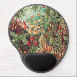 Mosses, Muscinae Laubmoose door Ernst Haeckel Gel Muismat<br><div class="desc">Muscinae Laubmoose door Ernst Haeckel  Planten Muismat</div>