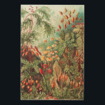 Mosses, Muscinae Laubmoose door Ernst Haeckel Hout Afdruk<br><div class="desc">Mosses,  Muscinae Laubmoose van Ernst Haeckel Wood Wall Art</div>