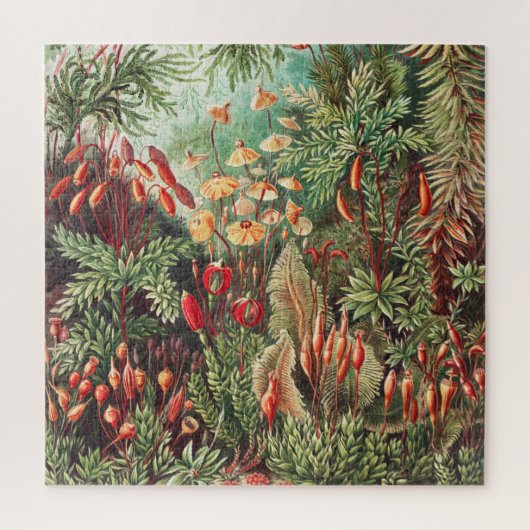 Mosses, Muscinae Laubmoose door Ernst Haeckel Legpuzzel (Verticaal)